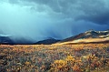 Yukon wilderness 005 Copyright Villayat Sunkmanitu